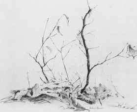 279x229 Papers - Easy Human Sketches