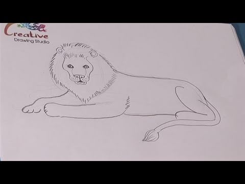 480x360 How To Learn To Draw A Lion - Easy Lion Sketch