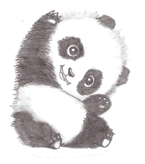 Easy Panda Sketch at PaintingValley.com | Explore collection of Easy ...