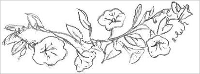 414x154 Easy Flowers To Draw - Easy Pics To Sketch