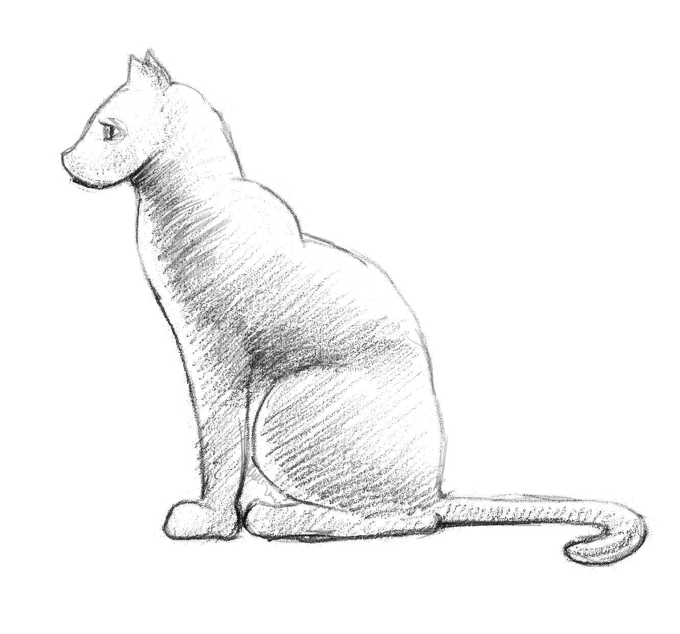 1332x1242 How To Draw A Cat - Easy Pictures To Sketch