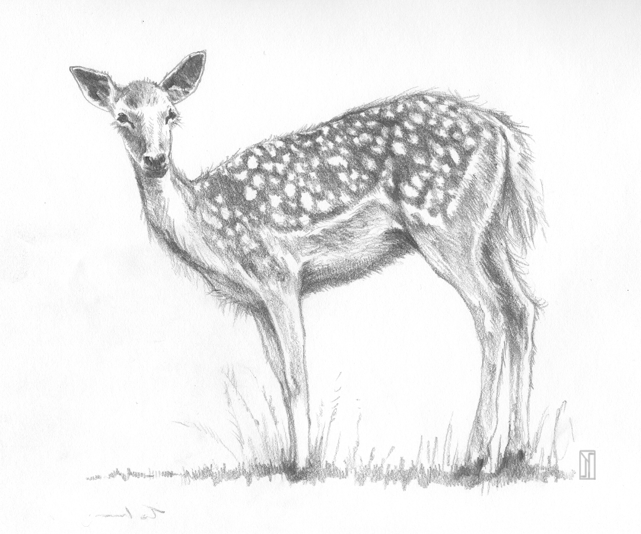 Easy Sketch Animals at PaintingValley.com | Explore collection of Easy ...