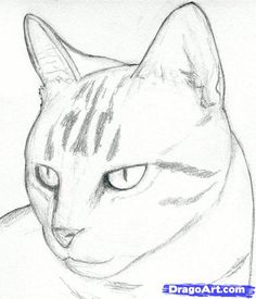 236x275 Easy Sketches - Easy Sketch Animals