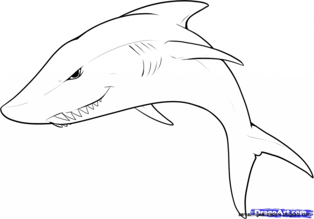 1024x715 Easy Animal Sketches Drawings Of Animals Step Step Tookogie - Easy Sketch Animals