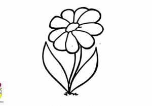 300x210 Simple Flower Sketch Flowers Cool Easy Flower Designs Draw - Easy Sketch Designs