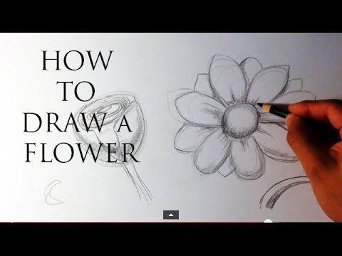 480x360 How To Draw A Flower - Easy Sketch Flowers