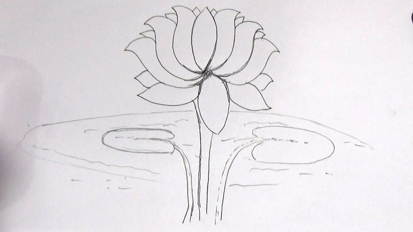 1366x768 How To Draw A Lotus Flower Step By Step And Super Easy Sketch - Easy Sketch Flowers