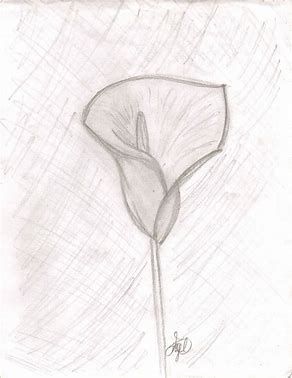 292x378 Image Result For Easy Sketches Of Flowers Drawing - Easy Sketch Flowers
