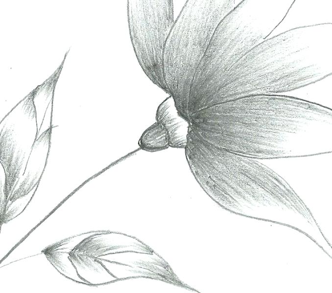 Easy Sketches Of Flowers And Butterflies Chelss Chapman It will open in a new tab. easy sketches of flowers and