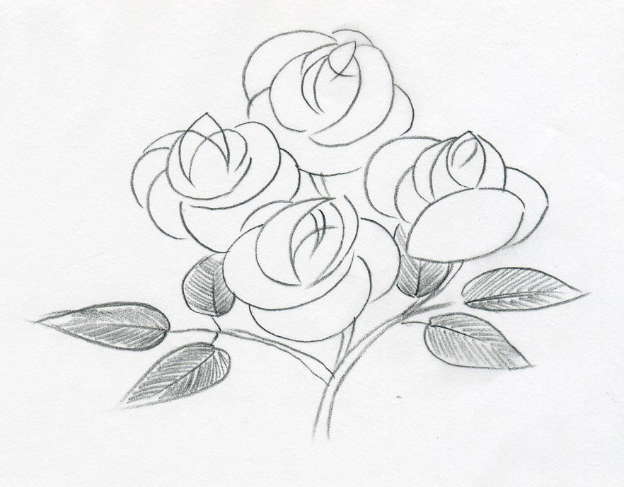 882x688 Sketch Of A Rose - Easy Sketch Flowers