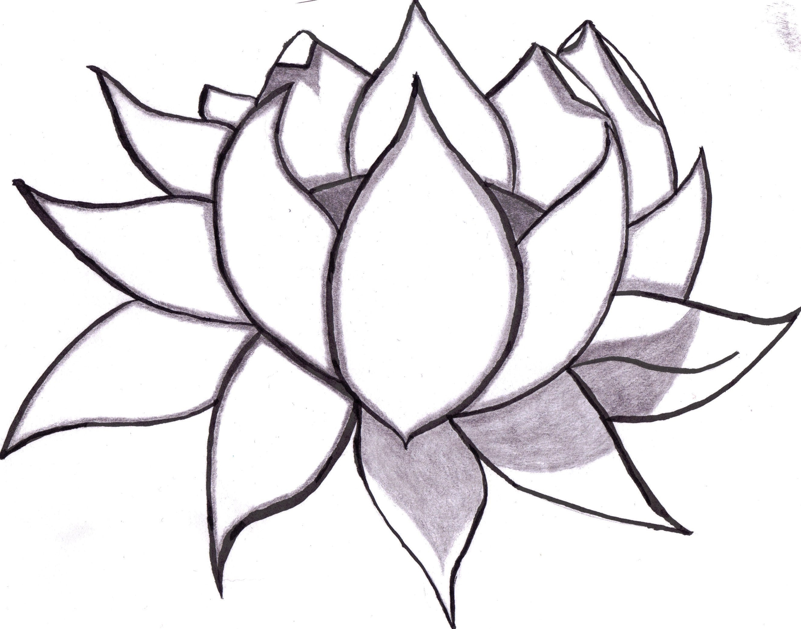 2646x2077 Easy Sketch Of A Flower Coloring Pages Easy To Sketch Flowers - Easy Sketch Flowers