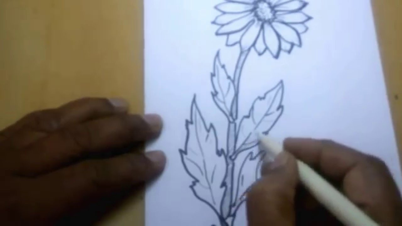 1280x720 Easy Sketch Of Flower For Kids - Easy Sketch Flowers