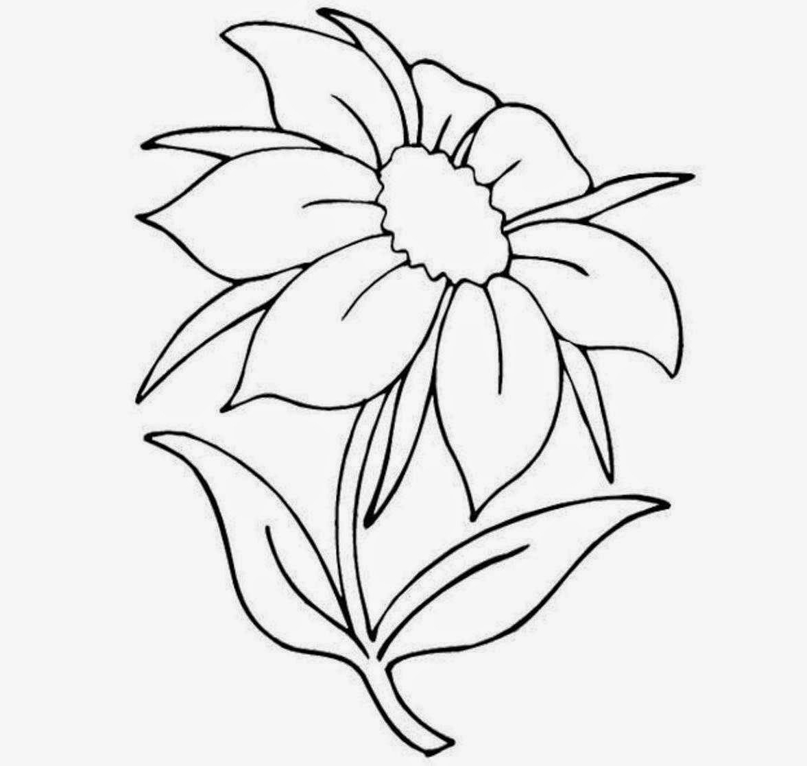 1177x1117 Easy Flower Drawings Easy Drawings Of Flower - Easy Sketch Of A Flower