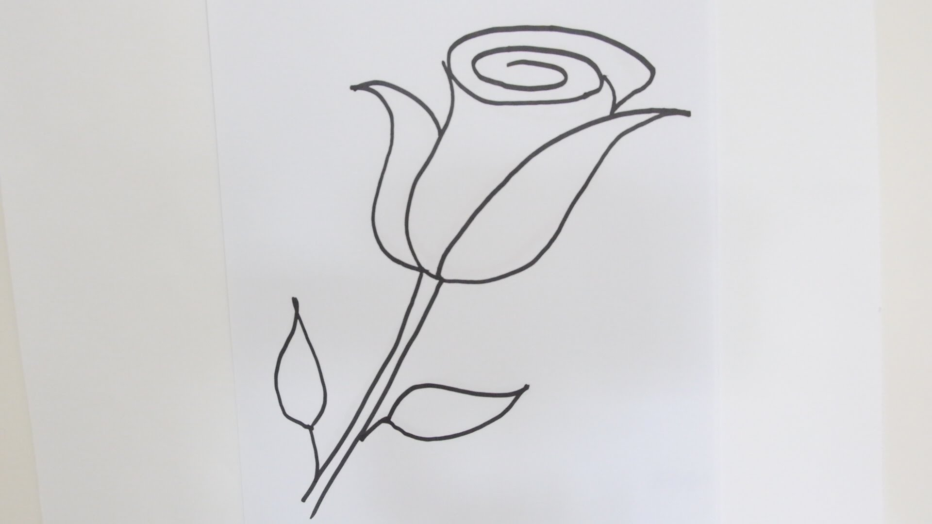 1920x1080 Easy Sketch Flowers How To Draw A Rose Flower - Easy Sketch Of A Flower
