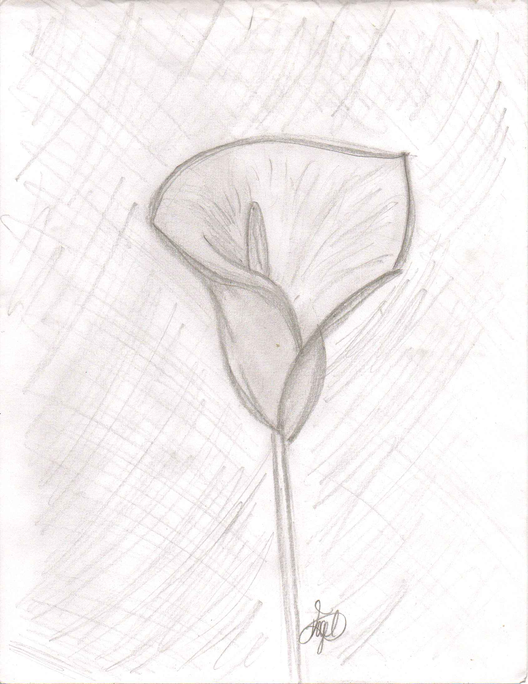 1691x2191 Flower Sketch Easy - Easy Sketch Of A Flower