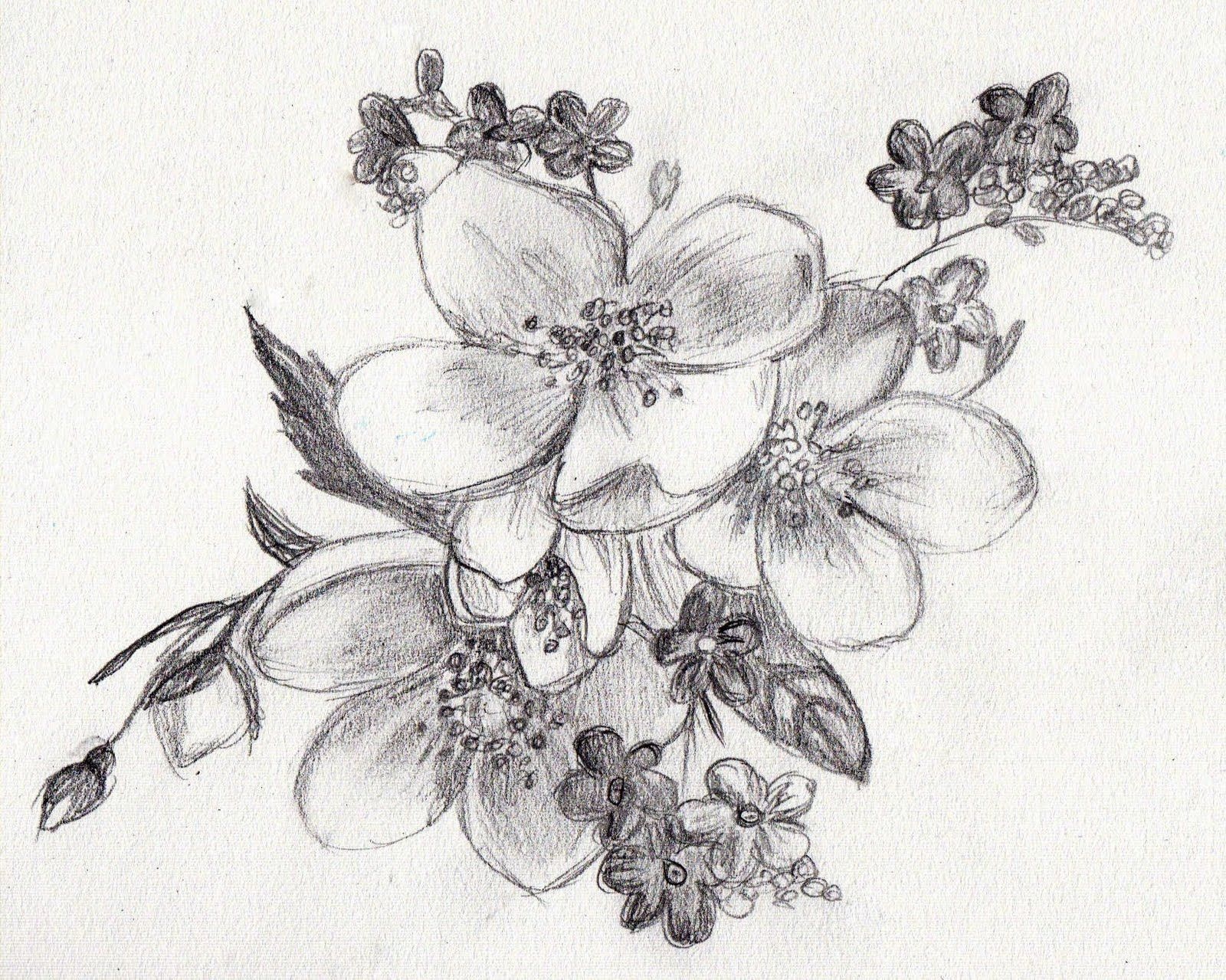 Easy Sketch Of A Flower at PaintingValley.com | Explore collection of ...