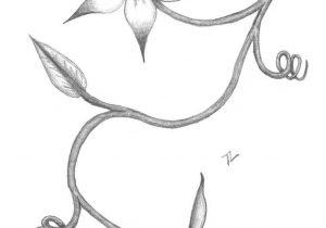 300x210 Full Flower Drawings In Pencil Of Flowers Step By Step Easy Sketch - Easy Sketch Of A Flower