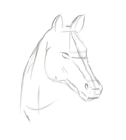 500x556 Horse - Easy Sketch Of A Horse