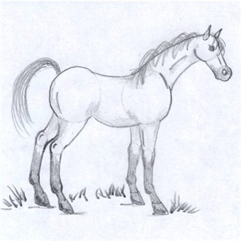 350x350 Horse Drawing Made Fun And Simple - Easy Sketch Of A Horse