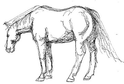400x271 Now Or Never Easy Sketch - Easy Sketch Of A Horse