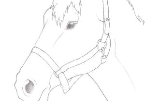 300x210 Simple Pencil Sketches Of Horse Pencil Drawing Horse Simple Sketch - Easy Sketch Of A Horse