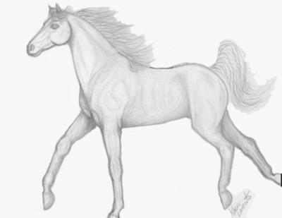 400x309 My Horse - Easy Sketch Of A Horse