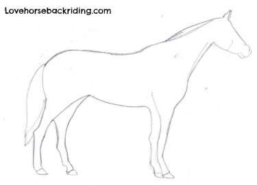 375x270 Completing A Horse Sketch - Easy Sketch Of A Horse