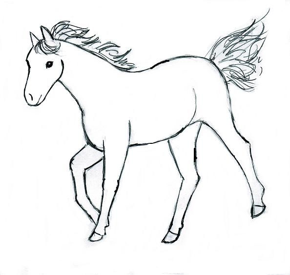 594x564 Create This Step By Step Horse Drawing! To Begin, Start With The - Easy Sketch Of A Horse