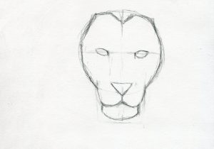 300x210 Sketch For Girls Easy How To Draw A Beautiful Girl Face Stepstep - Easy Sketch Of Girls