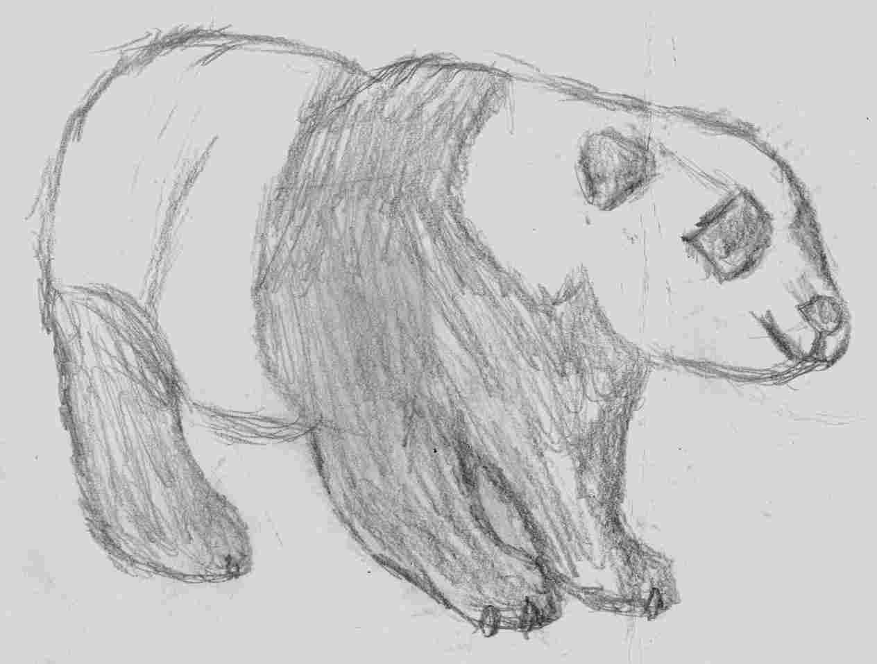 1264x957 Cool Sketches To Draw Easy Drawing Fine Art - Easy Sketches