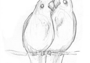 Easy Sketching Ideas For Beginners At Paintingvalleycom
