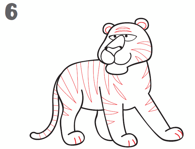 640x490 How To Draw A Tiger - Easy Tiger Sketch