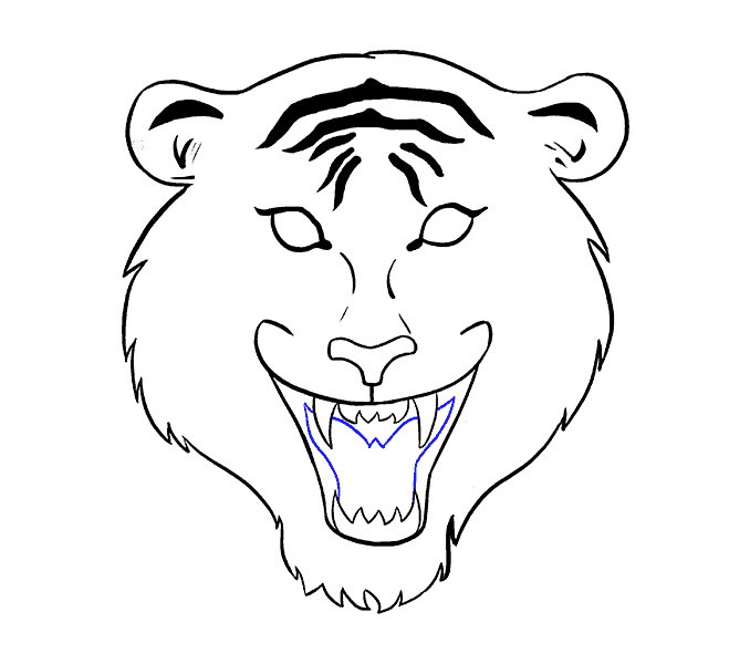 678x600 How To Draw A Tiger Face In A Few Easy Steps Easy Drawing Guides - Easy Tiger Sketch