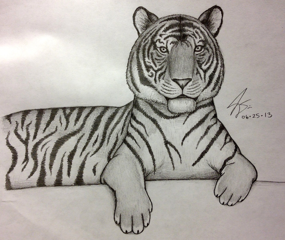 Top How To Draw A Simple Tiger in 2023 The ultimate guide