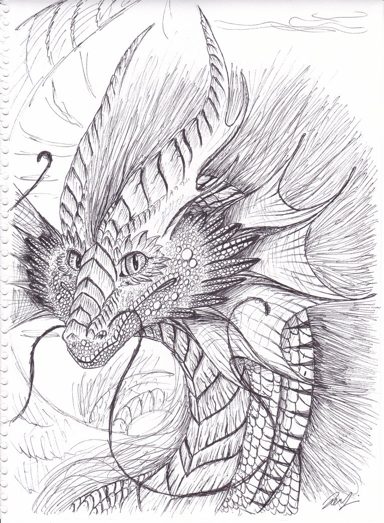 766x1042 Personal ~ Eclipse Bust Sketch.. By Asteriasternvalx - Eclipse Sketch