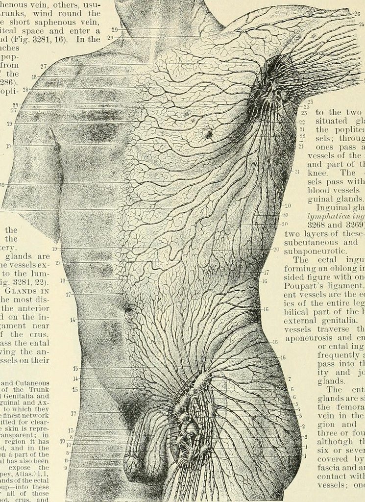 745x1024 Image From - Ecta Sketch