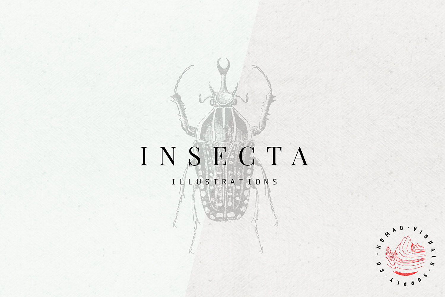 1500x1000 Premium Insects Illustrations - Ecta Sketch