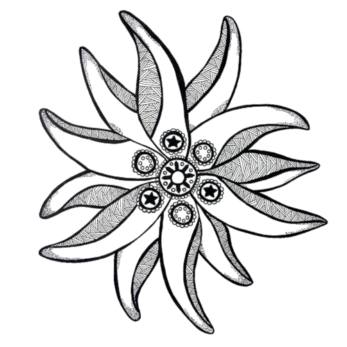 Edelweiss Sketch