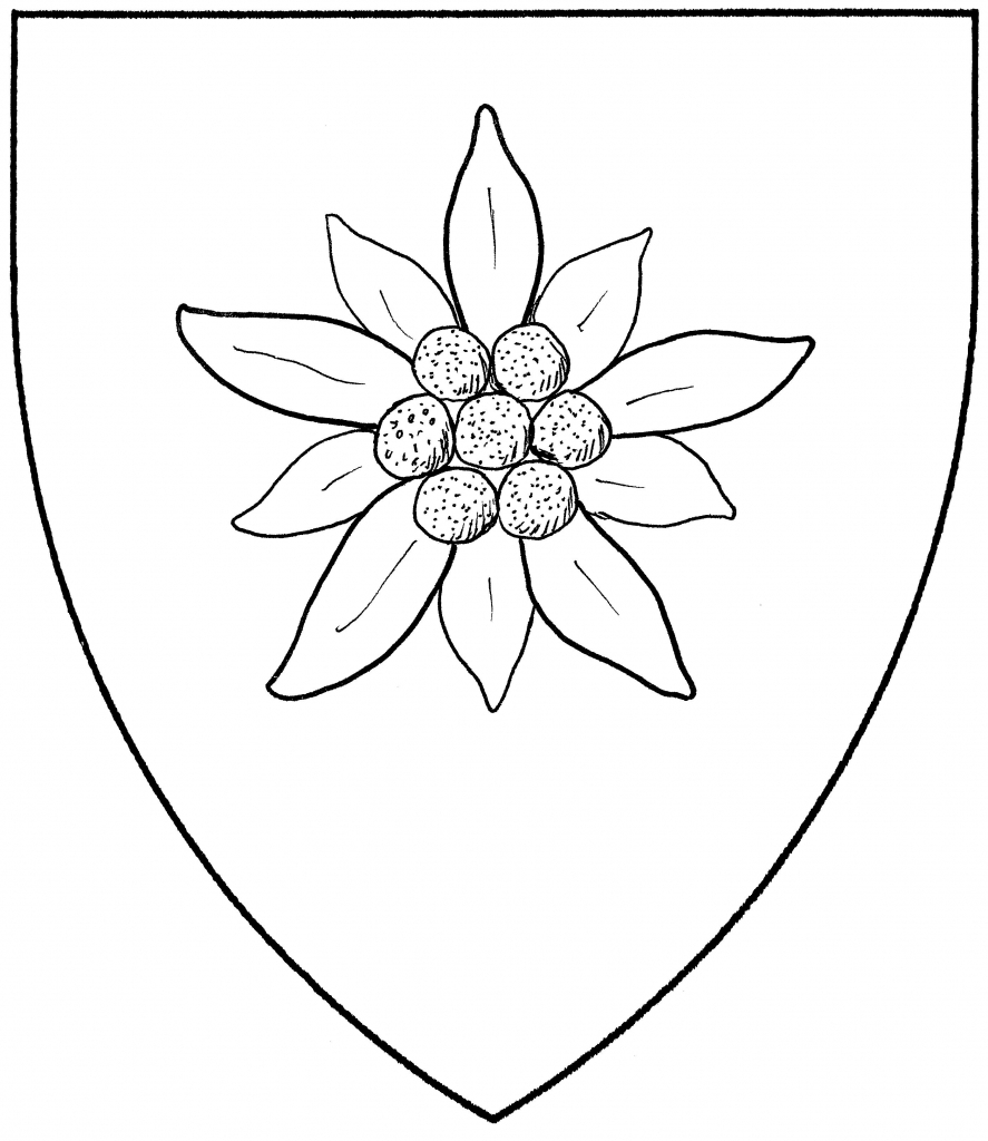 887x1024 Edelweiss Flower Drawing Edelweiss Flower Drawing - Edelweiss Sketch