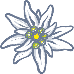 257x256 Edelweiss Png - Edelweiss Sketch