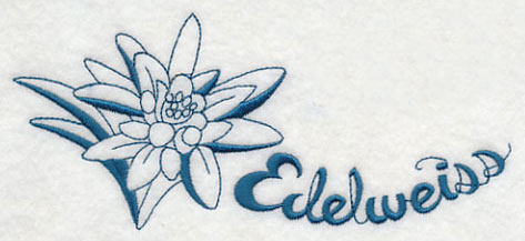 473x217 Edelweiss Sketch 68031 Movieweb - Edelweiss Sketch
