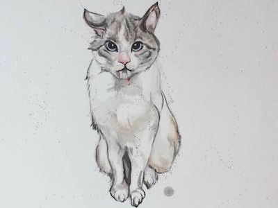 400x300 A Drawing A Day - Edelweiss Sketch