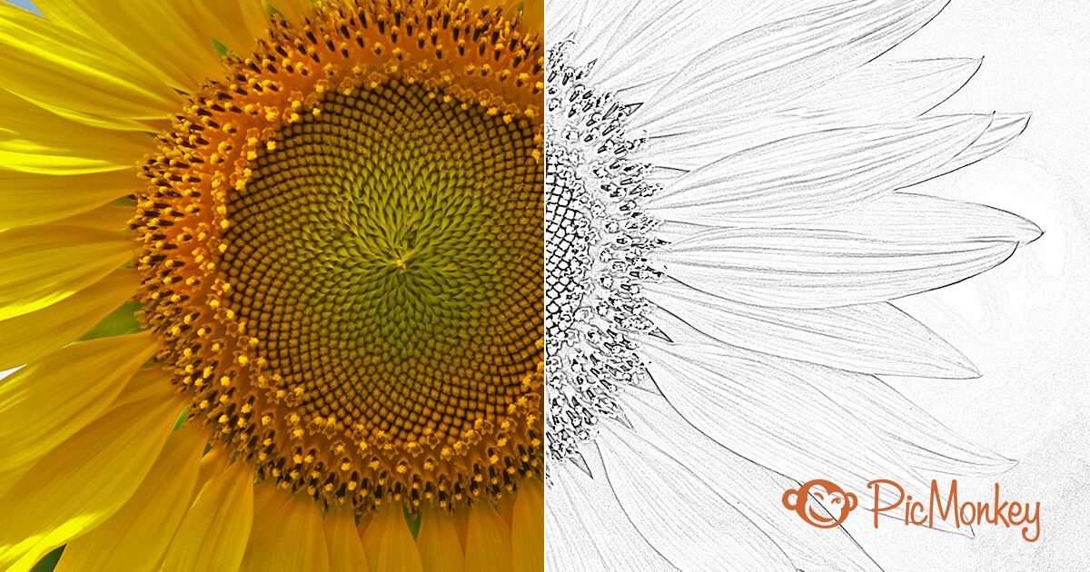 1200x630 Turn A Photo Into A Sketch Picmonkey - Edge Sketch