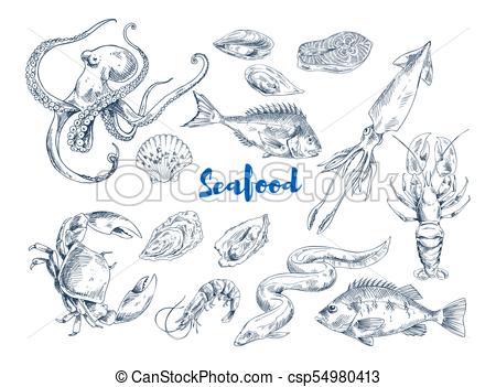 450x351 Exotic Seafood Monochrome Sketch Illustrations Set. Exotic Seafood - Eel Sketch