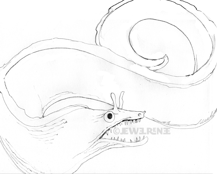 720x576 Jewel Renee Illustration Dragon Moray Eel Sketch - Eel Sketch