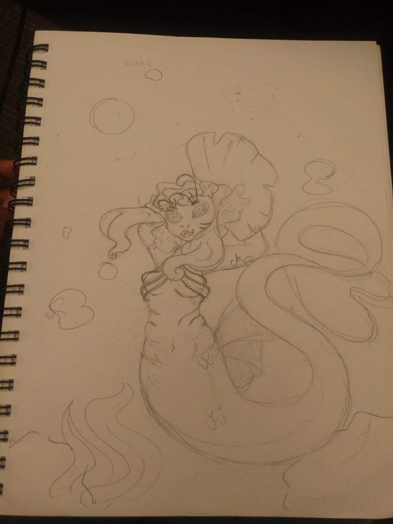 768x1024 Mermaid Eel Sketch Thingy Sugarcub Club Amino - Eel Sketch