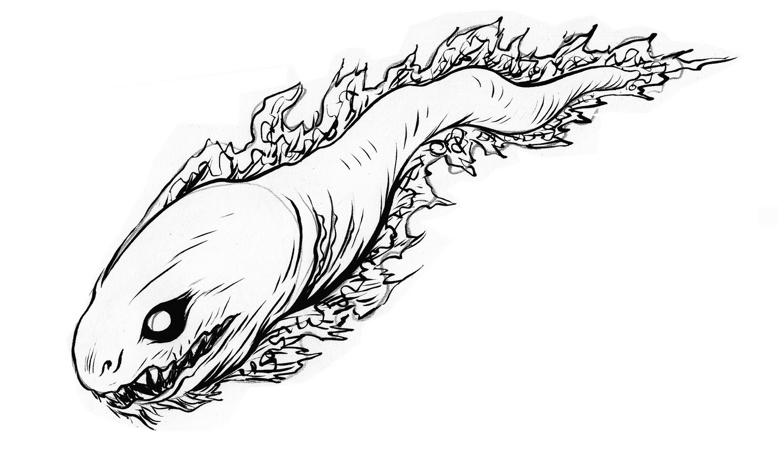 1600x972 Pretty Good Blog Warm Up Sketch - Eel Sketch