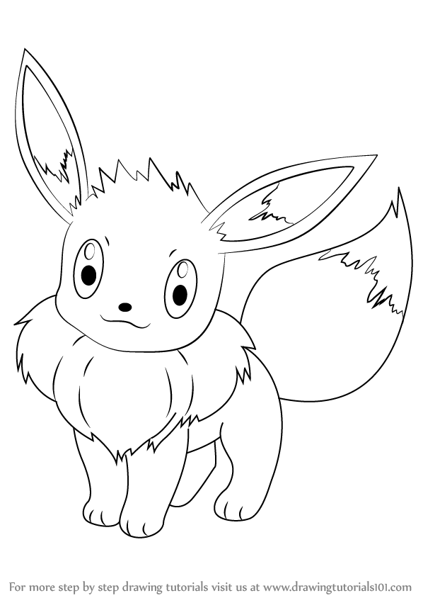598x844 Learn How To Draw Eevee From Pokemon (Pokemon) Step By Step - Eevee Sketch