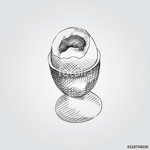 500x500 Hand Drawn Egg Sketch Symbol Isolated On White Background. Vector - Egg Sketch
