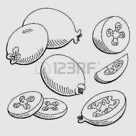 450x450 Eggplant Clipart Sketch ~ Frames ~ Illustrations ~ Hd Images - Eggplant Sketch